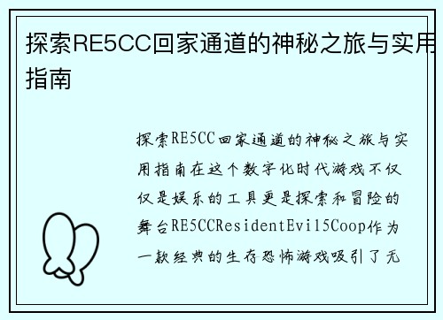 探索RE5CC回家通道的神秘之旅与实用指南